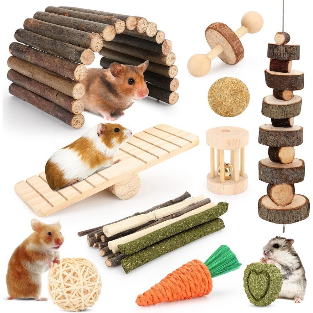 Hamster Cage Accessories, 12 Different Chew Toys for Guinea Pig, Chinchillas